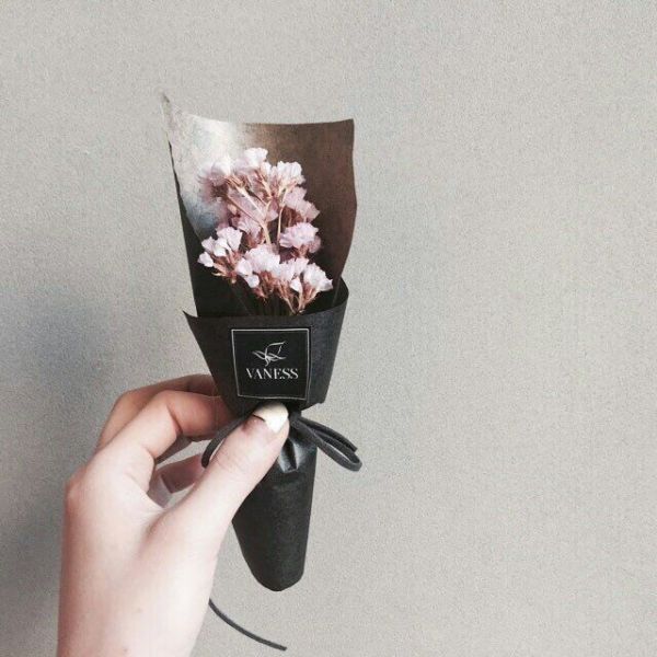 花可解语 小清新唯美微信图片