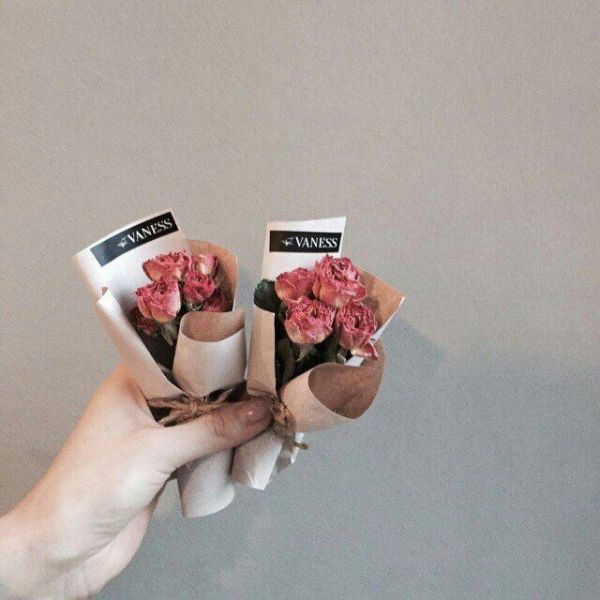 花可解语 小清新唯美微信图片