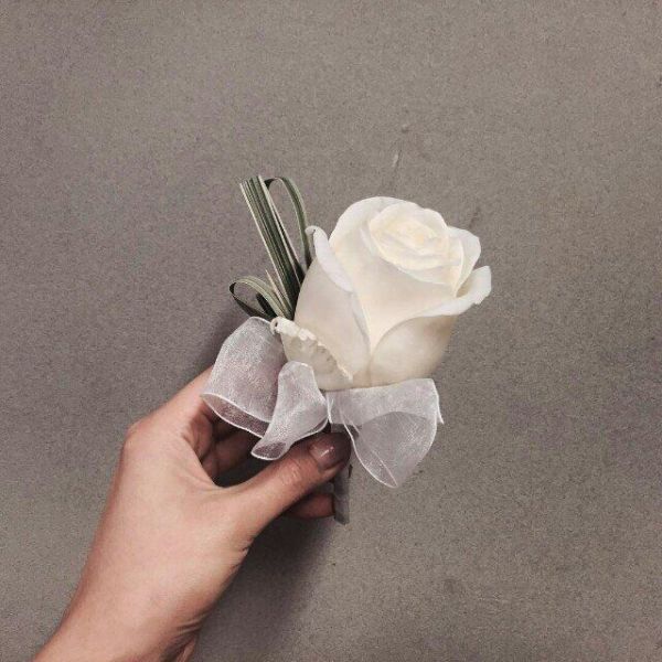 花可解语 小清新唯美微信图片