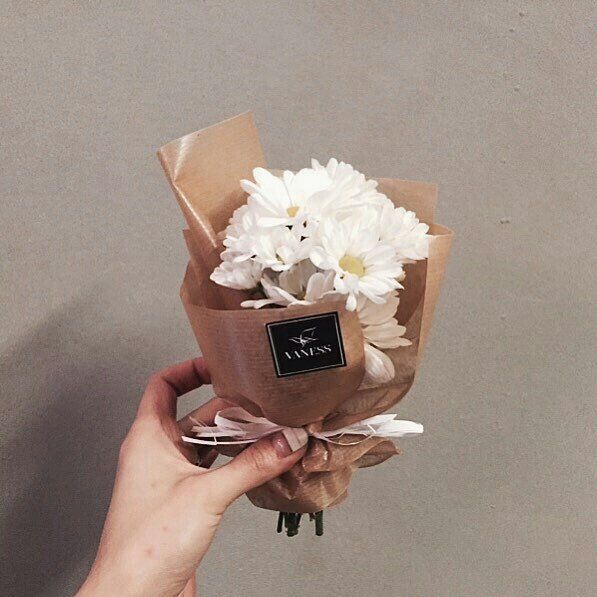 花可解语 小清新唯美微信图片