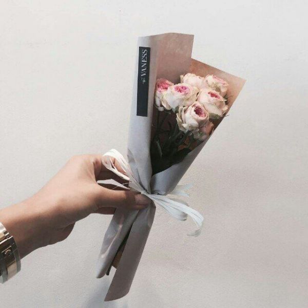 花可解语 小清新唯美微信图片