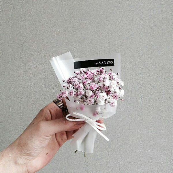 花可解语 小清新唯美微信图片