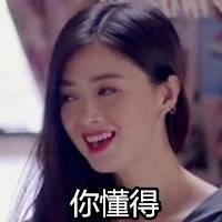欢乐颂樊胜美微信表情包 人没有过不去的坎！