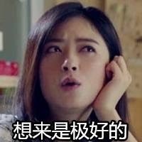 欢乐颂樊胜美微信表情包 人没有过不去的坎！