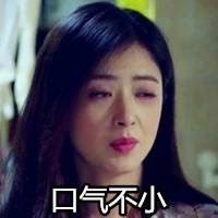 欢乐颂樊胜美微信表情包 人没有过不去的坎！