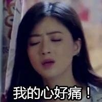 欢乐颂樊胜美微信表情包 人没有过不去的坎！