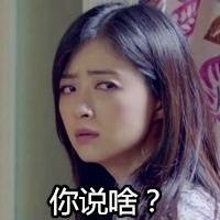 欢乐颂樊胜美微信表情包 人没有过不去的坎！