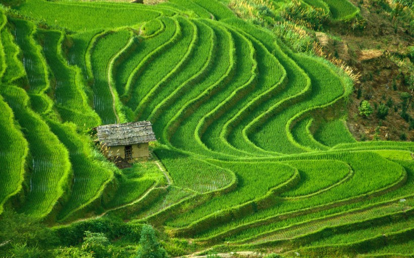 梯田风光微信高清图片 世外桃源