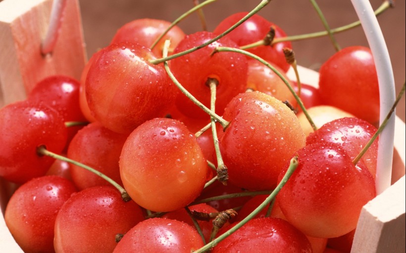 樱桃微信高清图片 铁含量最高。