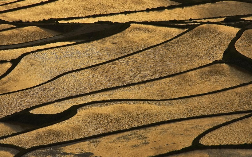 梯田风光微信高清图片 世外桃源