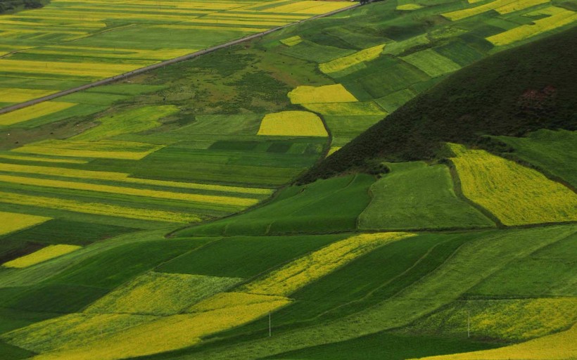 梯田风光微信高清图片 世外桃源