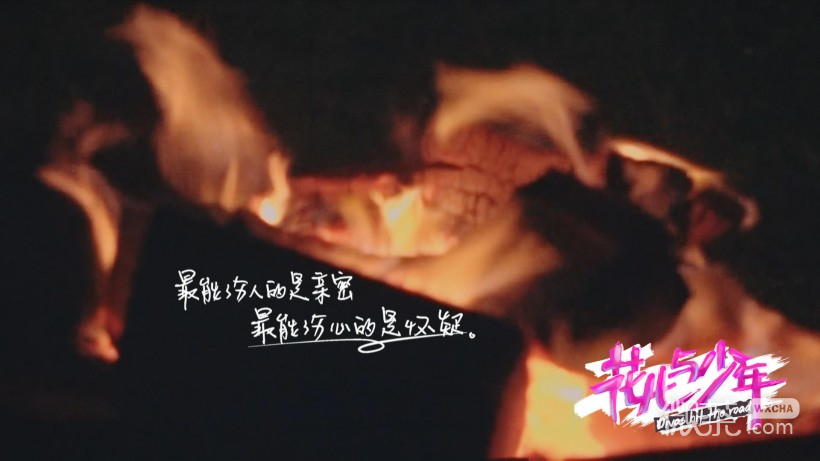 《花儿与少年》第二季微信高清图片 在一起！