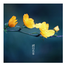 微信唯美头像 上善若水
