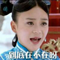 袁姗姗微信表情包 贱人就是矫情！