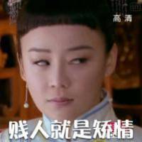 袁姗姗微信表情包 贱人就是矫情！