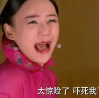 袁姗姗微信表情包 贱人就是矫情！