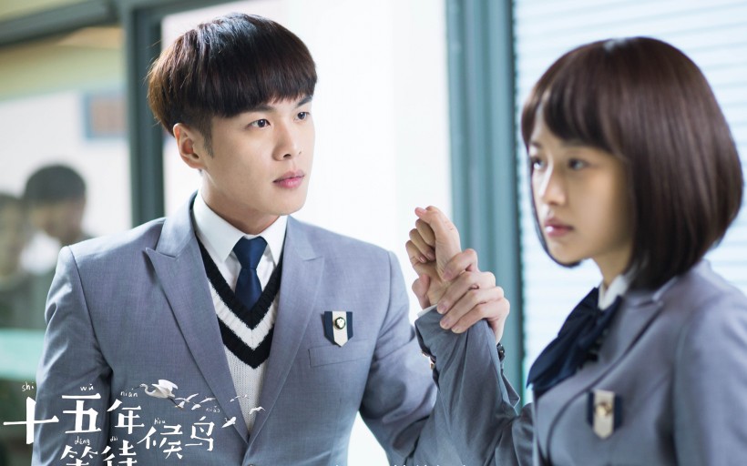 《十五年等待候鸟》微信高清图片 候鸟归来