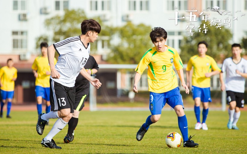 《十五年等待候鸟》微信高清图片 候鸟归来