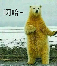 娘子啊哈微信表情包 嘿哈