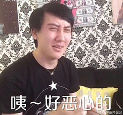 刘梓晨辣眼睛微信表情包 一脸愣逼