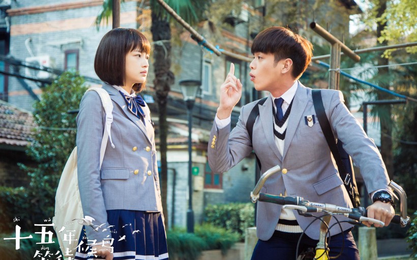 《十五年等待候鸟》微信高清图片 候鸟归来