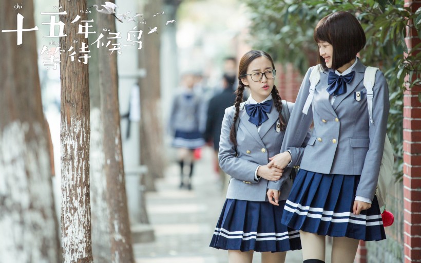 《十五年等待候鸟》微信高清图片 候鸟归来