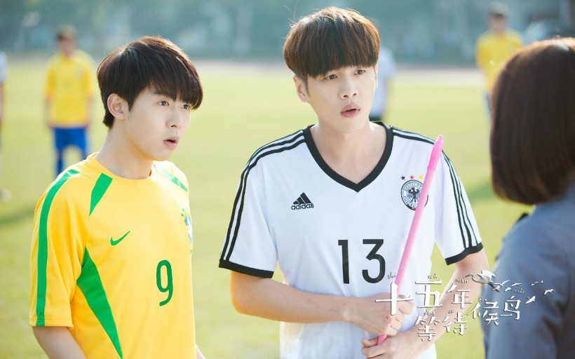 《十五年等待候鸟》微信高清图片 候鸟归来