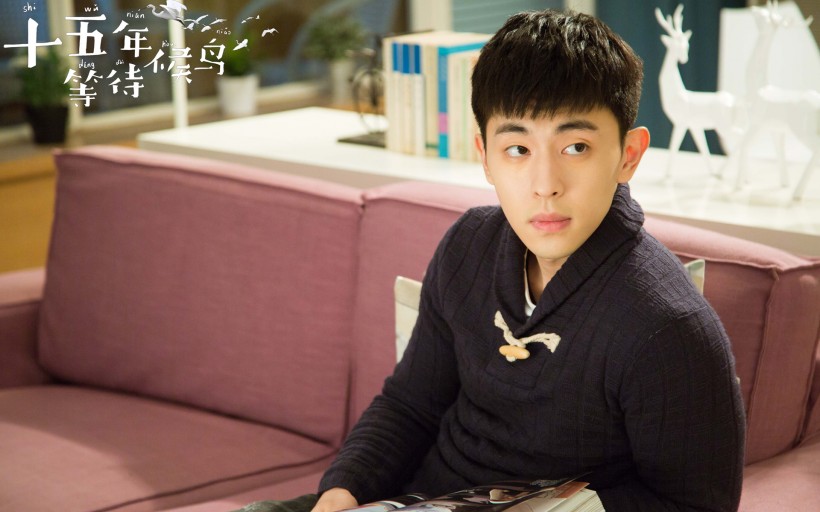 《十五年等待候鸟》微信高清图片 候鸟归来