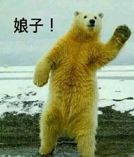 娘子啊哈微信表情包 嘿哈