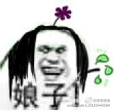 娘子啊哈微信表情包 嘿哈