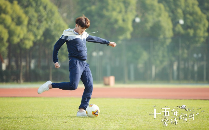 《十五年等待候鸟》微信高清图片 候鸟归来