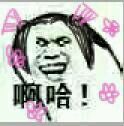 娘子啊哈微信表情包 嘿哈