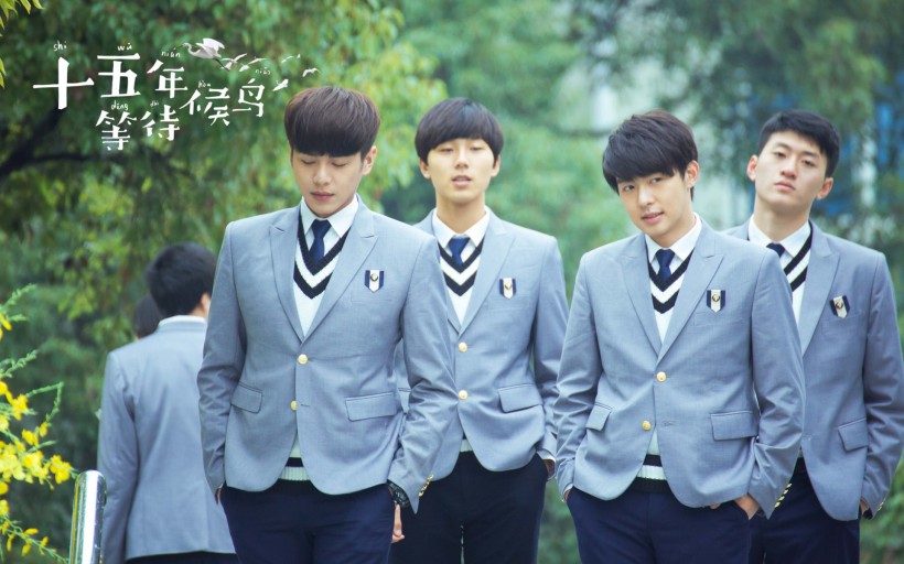 《十五年等待候鸟》微信高清图片 候鸟归来