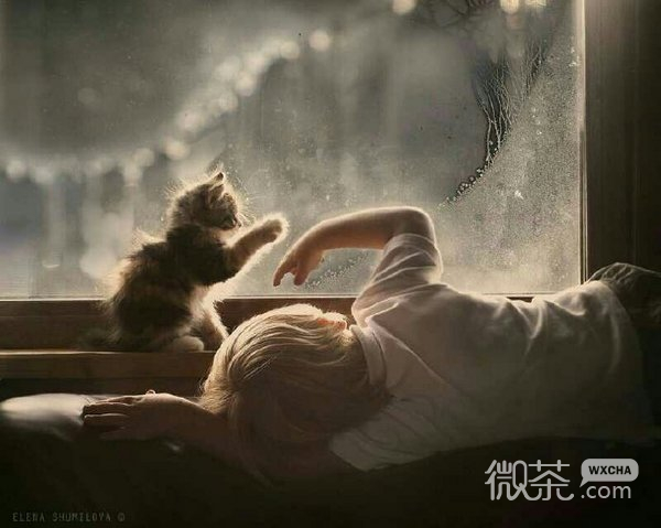 宝宝与宠物微信图片 人生就像是一场赌局