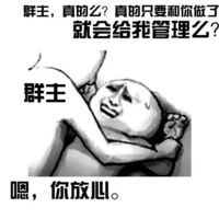 微信群聊天斗图猥琐表情包 群主求求你给个管理吧