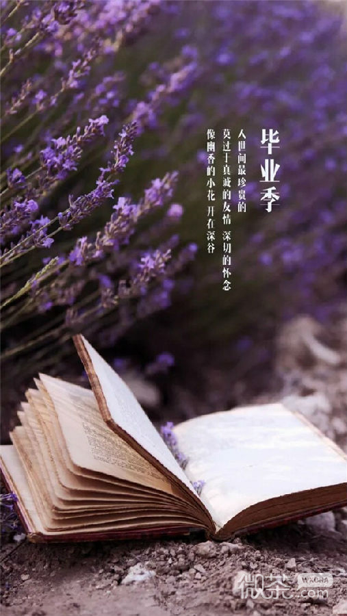 毕业季伤感带字微信图片 若干年之后会变成最美的回忆