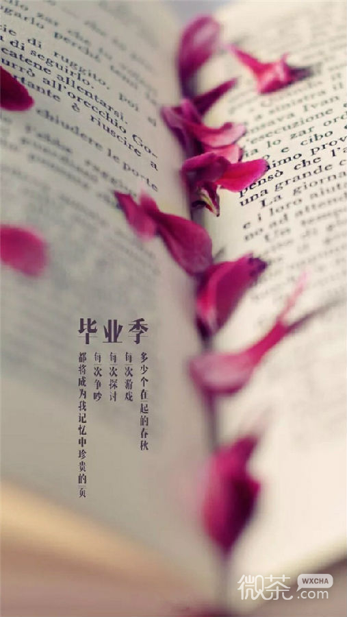 毕业季伤感带字微信图片 若干年之后会变成最美的回忆