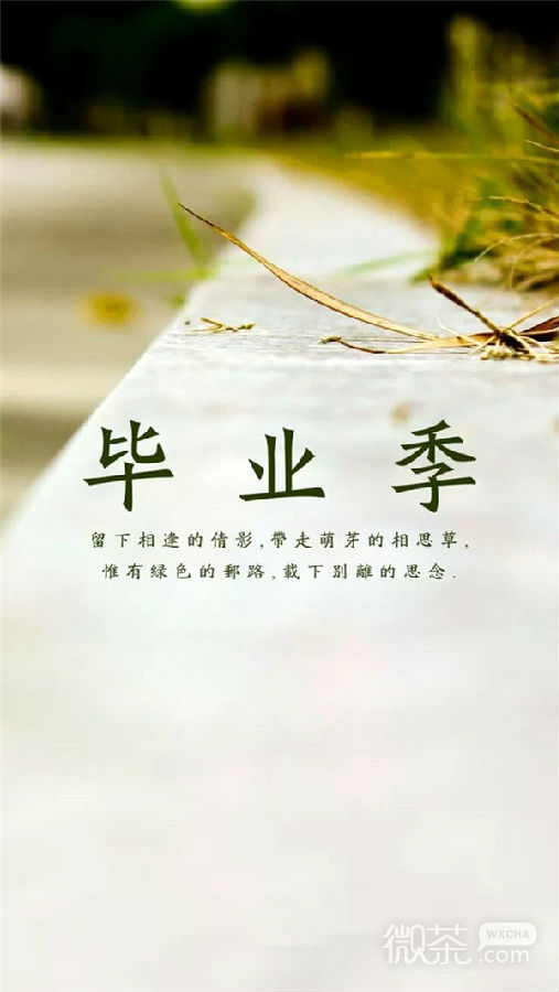 毕业季伤感带字微信图片 若干年之后会变成最美的回忆