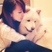 微信可爱的萨摩耶头像大全