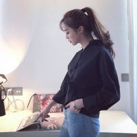 微信气质女生头像 时光恋人