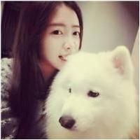 微信可爱的萨摩耶头像大全