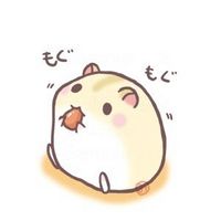 微信二次元动物卡通头像可爱萌 快乐要懂得分享