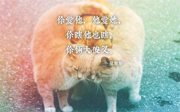 内涵文字微信图片 被误会是表达者的宿命