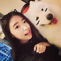 微信可爱的萨摩耶头像大全