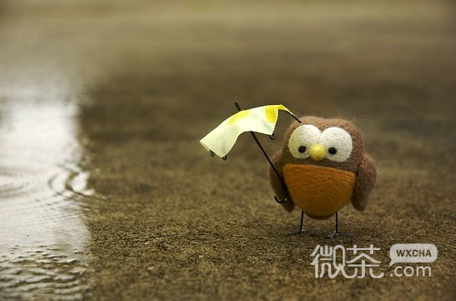 小清新画风卡通微信图片 信念是轮回的爱恋