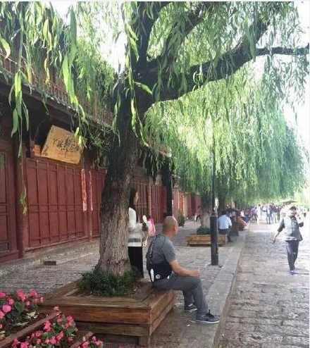丽江古城街道风景微信图片