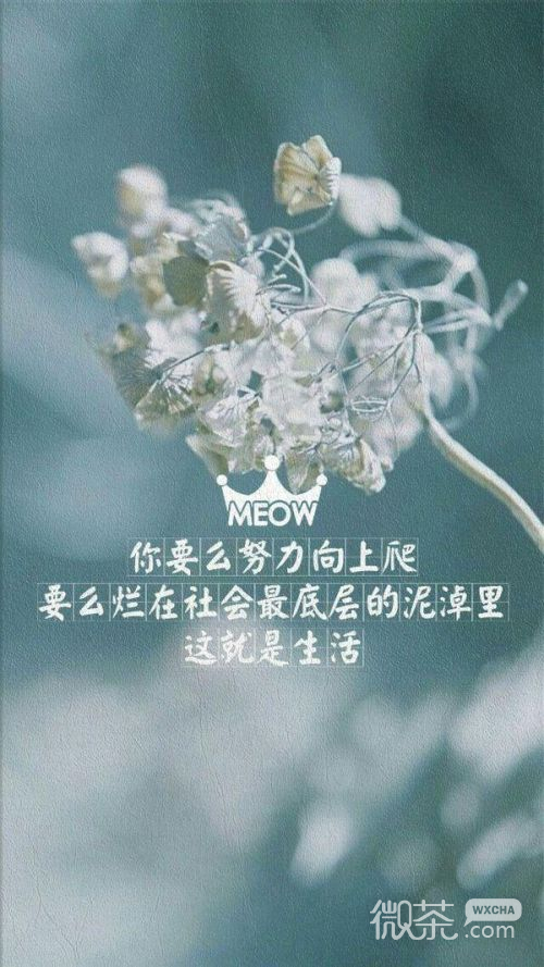 好看的背景皮肤微信图片  别去迎合所有人让自己受累