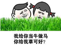 慎入很好用的文字微信表情包 胆量够大的小伙伴拿走