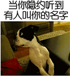 微信聊天表情包 辣么凶干什么