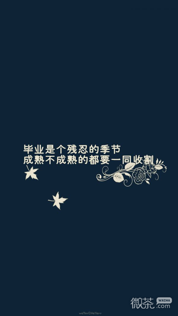 毕业季文字伤感微信图片 如今只剩满腔留恋